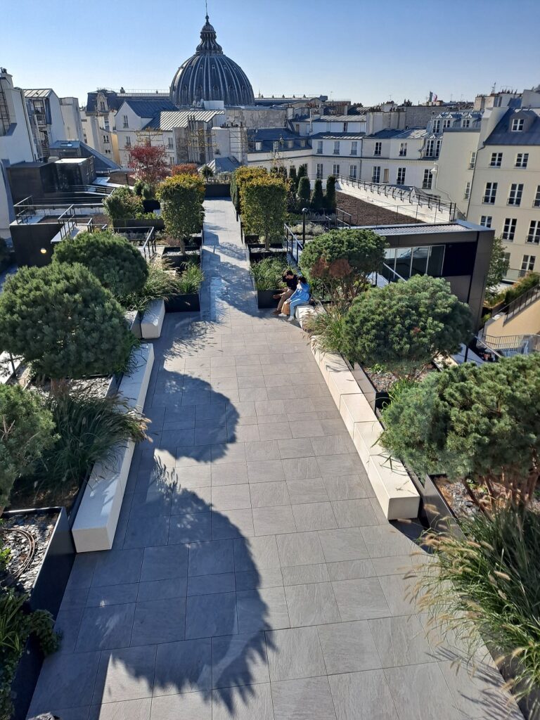 Amenagement toit paysage Rue CAMBON – PARIS 20211028 134110