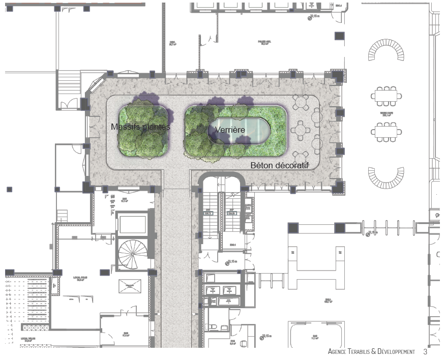 plan cours interieure immeuble anjou amenagement vegetal