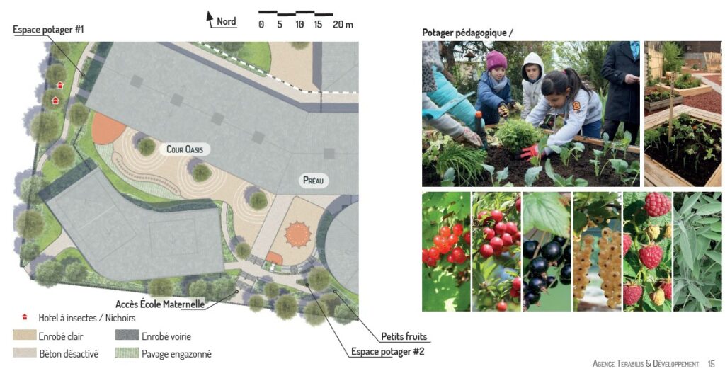 terabilis Groupe scolaire Anatole France Saulx Les Chartreux jardin comestible